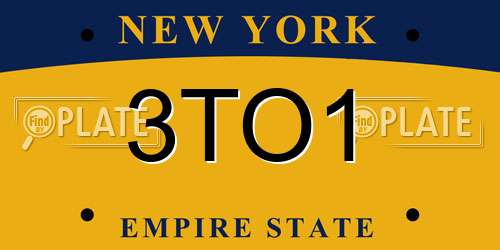 3TO1 New York License Plate