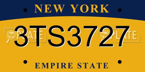 3TS3727 New York License Plate