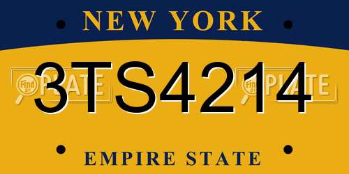 3TS4214 New York License Plate