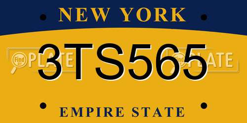 3TS565 New York License Plate