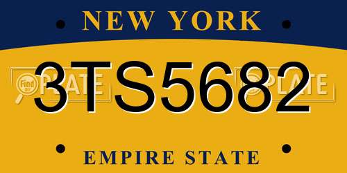 3TS5682 New York License Plate
