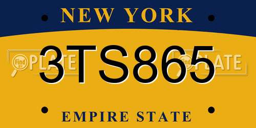3TS865 New York License Plate