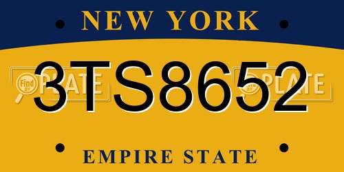 3TS8652 New York License Plate