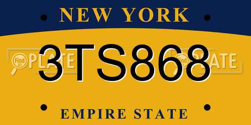 3TS868 New York License Plate
