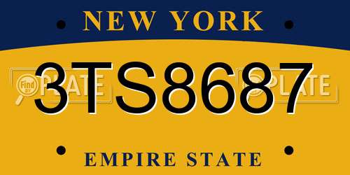 3TS8687 New York License Plate