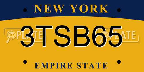3TSB65 New York License Plate
