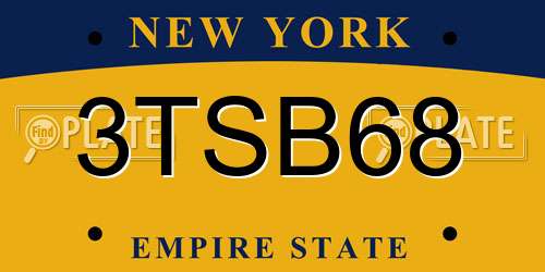3TSB68 New York License Plate