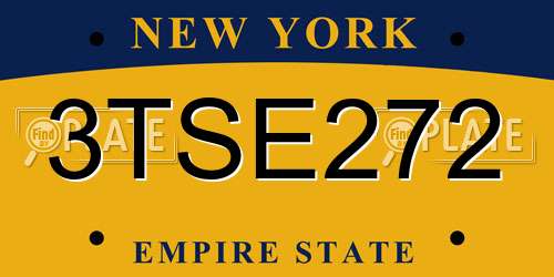 3TSE272 New York License Plate