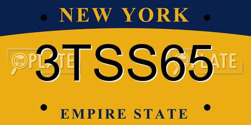 3TSS65 New York License Plate