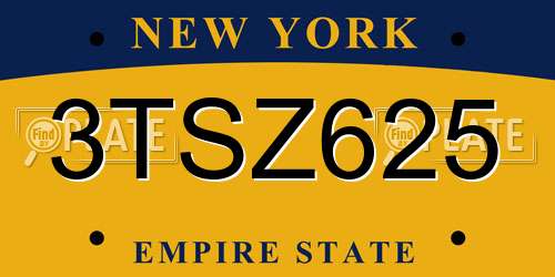 3TSZ625 New York License Plate