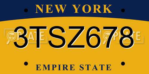 3TSZ678 New York License Plate