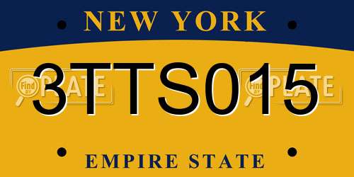 3TTS015 New York License Plate