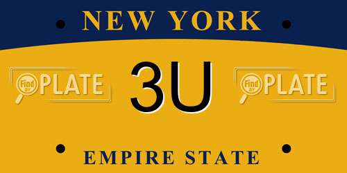 3U New York License Plate