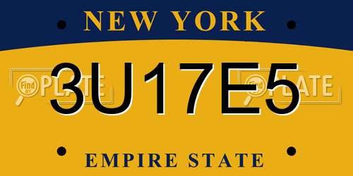 3U17E5 New York License Plate