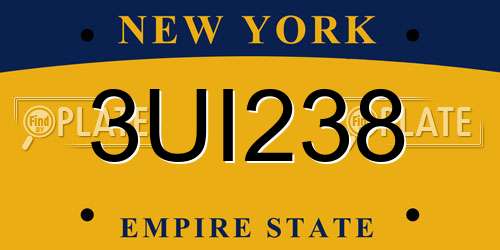 3UI238 New York License Plate
