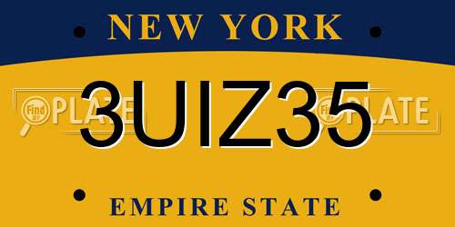 3UIZ35 New York License Plate