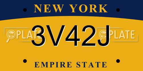 3V42J New York License Plate