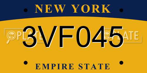 3VF045 New York License Plate