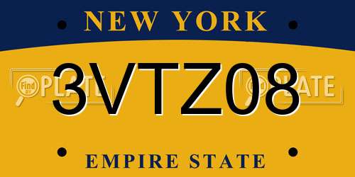 3VTZ08 New York License Plate