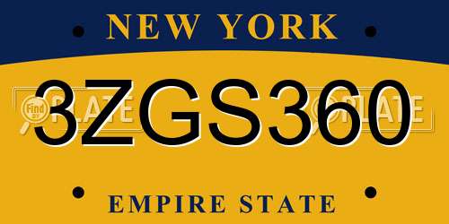 3ZGS360 New York License Plate