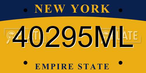 40295ML New York License Plate