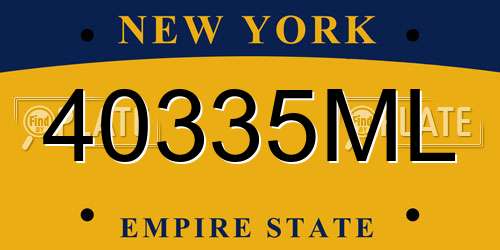 40335ML New York License Plate