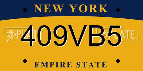 409VB5 New York License Plate