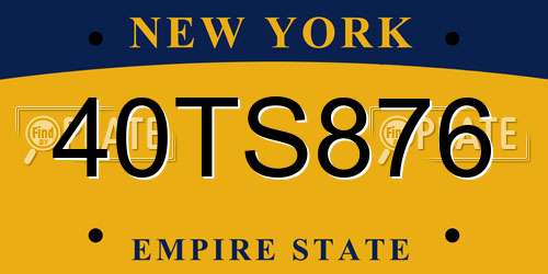 40TS876 New York License Plate