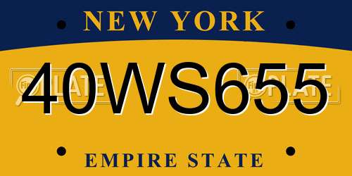 40WS655 New York License Plate
