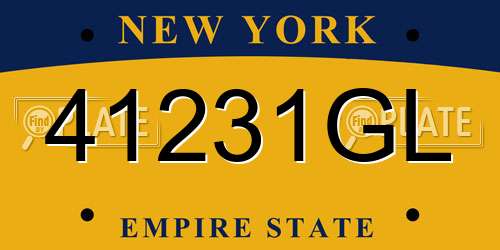 41231GL New York License Plate