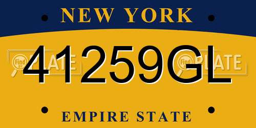 41259GL New York License Plate