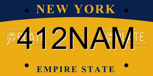 412NAM New York License Plate