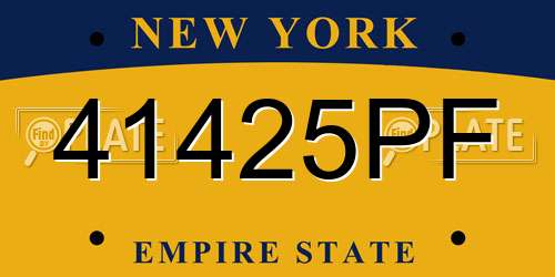 41425PF New York License Plate