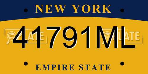 41791ML New York License Plate