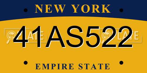 41AS522 New York License Plate