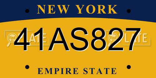 41AS827 New York License Plate