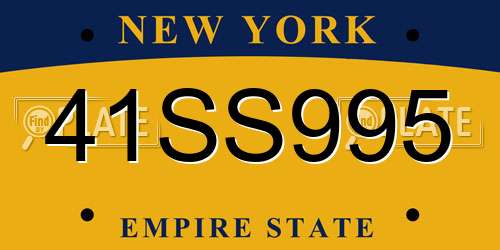 41SS995 New York License Plate