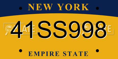 41SS998 New York License Plate
