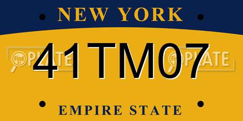 41TM07 New York License Plate