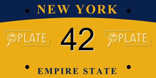42 New York License Plate