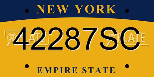 42287SC New York License Plate