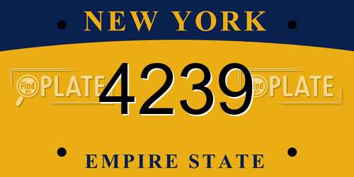 4239 New York License Plate