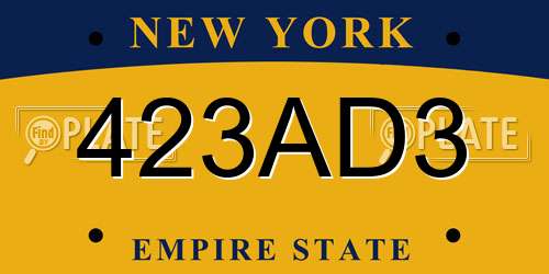 423AD3 New York License Plate