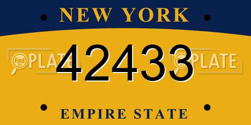 42433 New York License Plate
