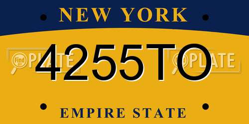 4255TO New York License Plate