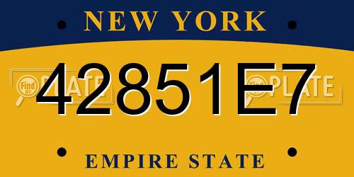 42851E7 New York License Plate