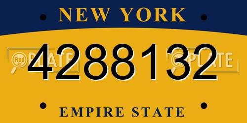 4288132 New York License Plate