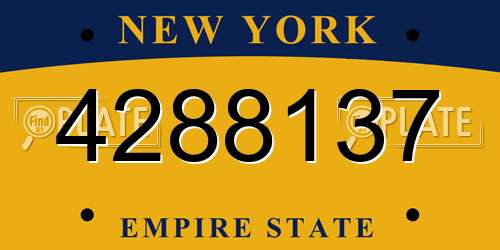 4288137 New York License Plate