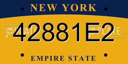 42881E2 New York License Plate