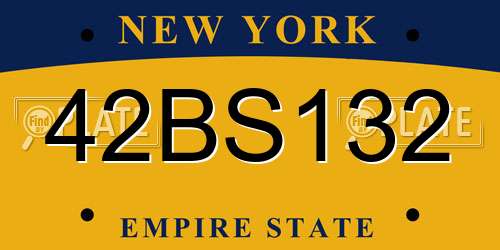 42BS132 New York License Plate